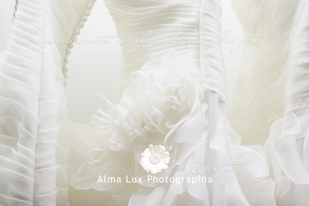 Alma Lux Photographia Eventos - Fotografia de Casamentos