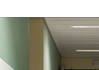 Pai e companheiro