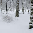 February