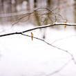 February